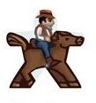 Cowboy Pferd