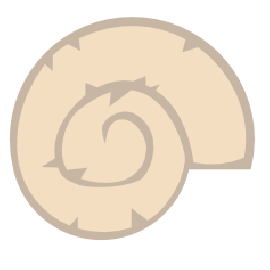 Ammonit Token