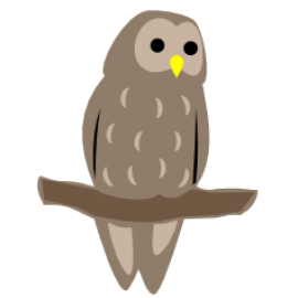 Eule Token