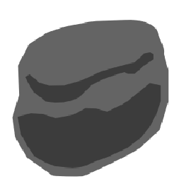 Felsen Token