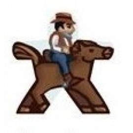 Cowboy Pferd