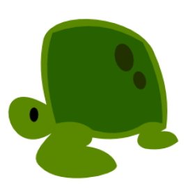 Schildkröte Token