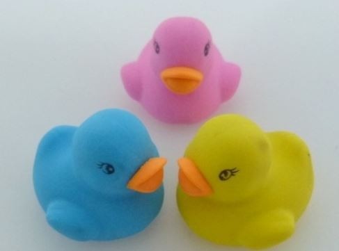 Eraser duck