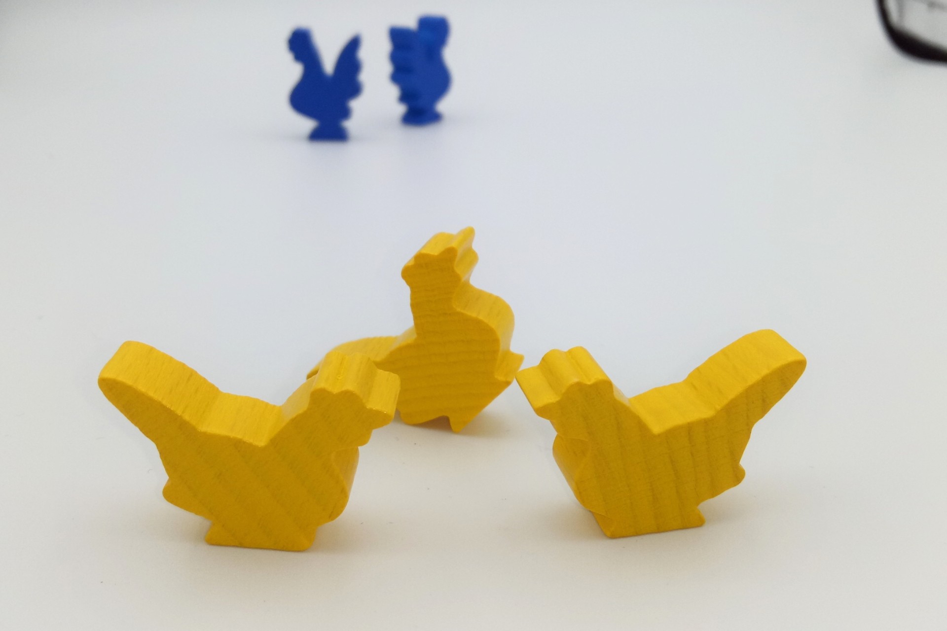 Rooster, cock, hen
