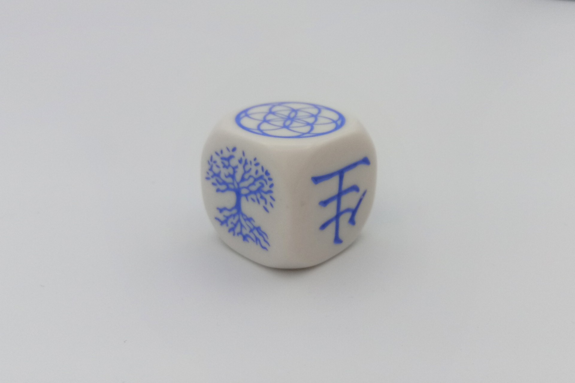 Life Symbols dice