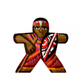 Massi Warrior