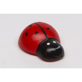 Ladybugs